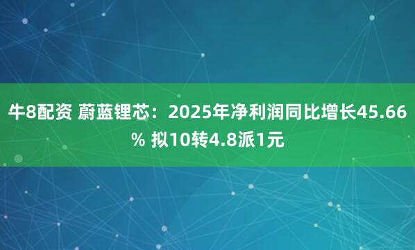 牛8配资 蔚蓝锂芯：2025年净利润同比增长45.66% 拟10转4.8派1元
