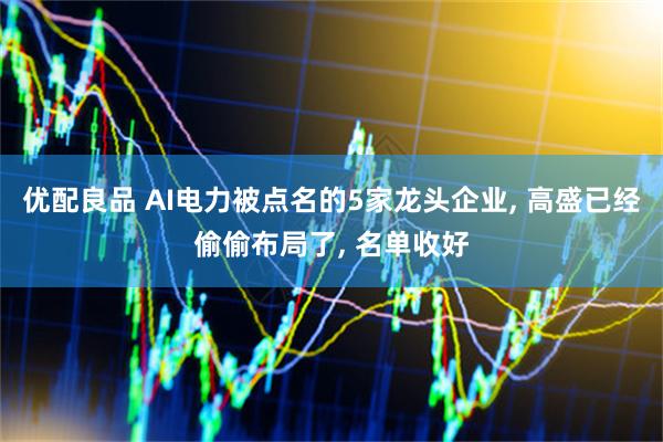优配良品 AI电力被点名的5家龙头企业, 高盛已经偷偷布局了, 名单收好