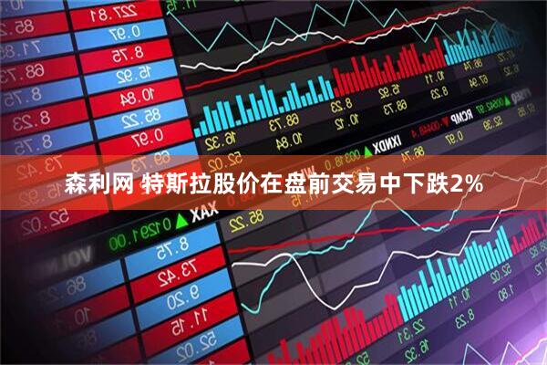 森利网 特斯拉股价在盘前交易中下跌2%