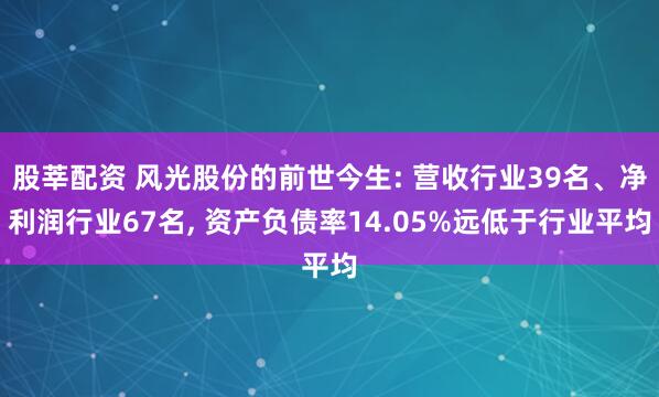 股莘配资 风光股份的前世今生: 营收行业39名、净利润行业67名, 资产负债率14.05%远低于行业平均