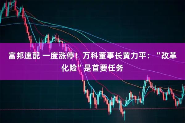 富邦速配 一度涨停！万科董事长黄力平：“改革化险”是首要任务