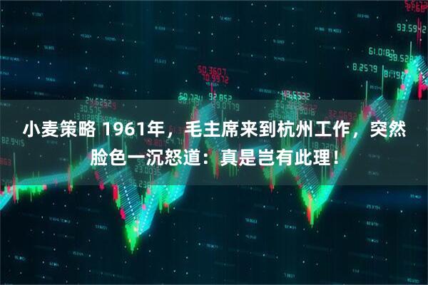 小麦策略 1961年，毛主席来到杭州工作，突然脸色一沉怒道：真是岂有此理！