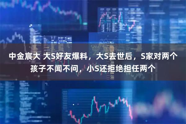 中金宸大 大S好友爆料，大S去世后，S家对两个孩子不闻不问，小S还拒绝担任两个