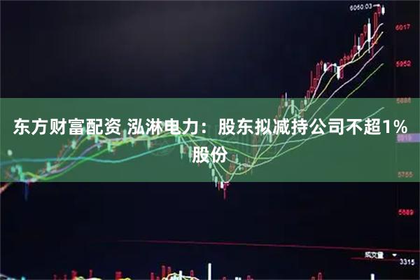 东方财富配资 泓淋电力：股东拟减持公司不超1%股份